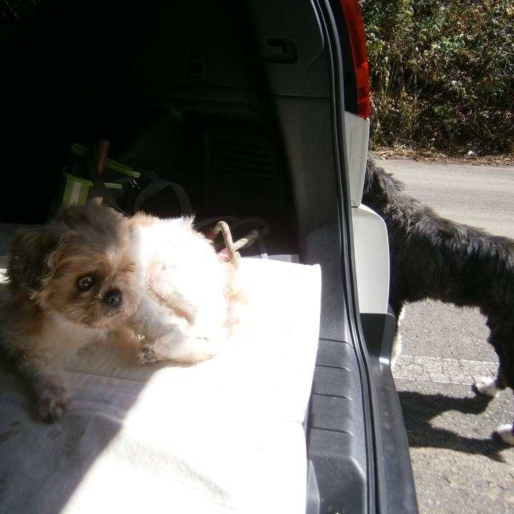 639809c4 7ce5 4052 8ba0 5deb0ce51c52 1537272668489