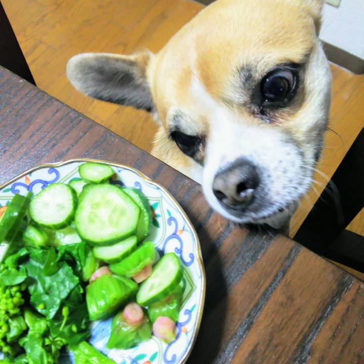 63981f5e 7d42 4f76 98cd 2e73b3131482 1551735531762