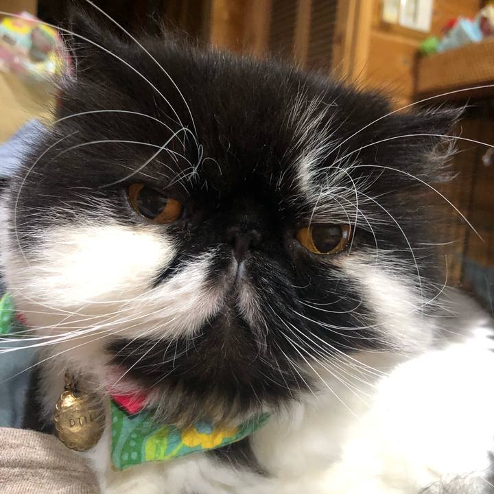 6398e276 bebe 416b b092 e9796f072000 1727275815519