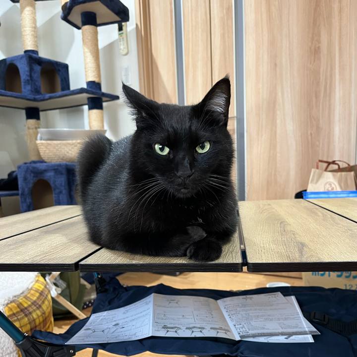 6398f024 5e70 422f 9abe 9c127e634d07 1700283714892