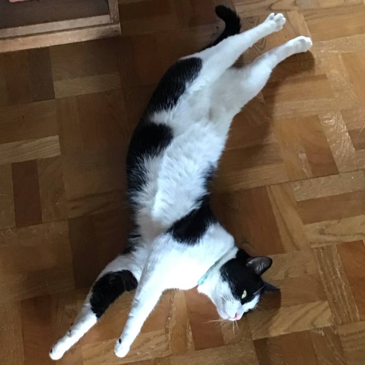 6398f5c9 b289 4601 8497 a84a645b9064 1693392518342