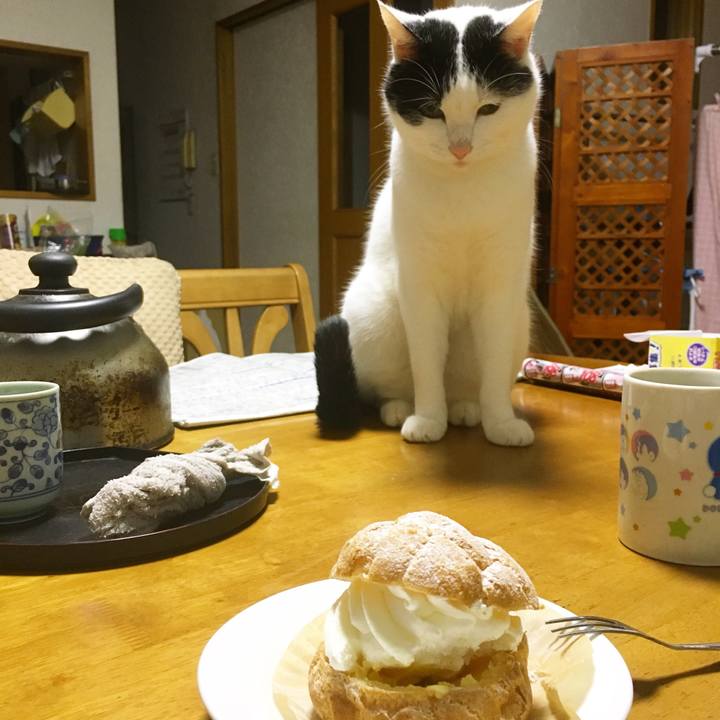 6398f81f fe0f 4980 b7e0 6f82d33af30b 1536723210098