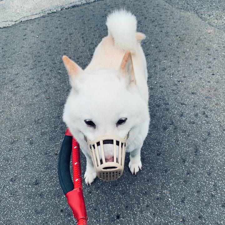 6399417f c485 45b3 ad80 1f1151857d27 1660942389032