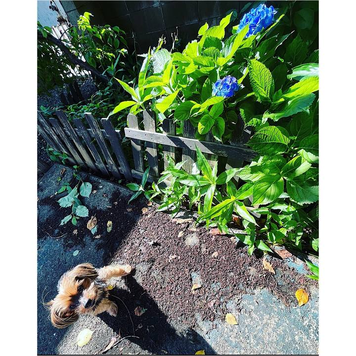 639990bd d311 42c2 b325 da148da756f2 1685836076474