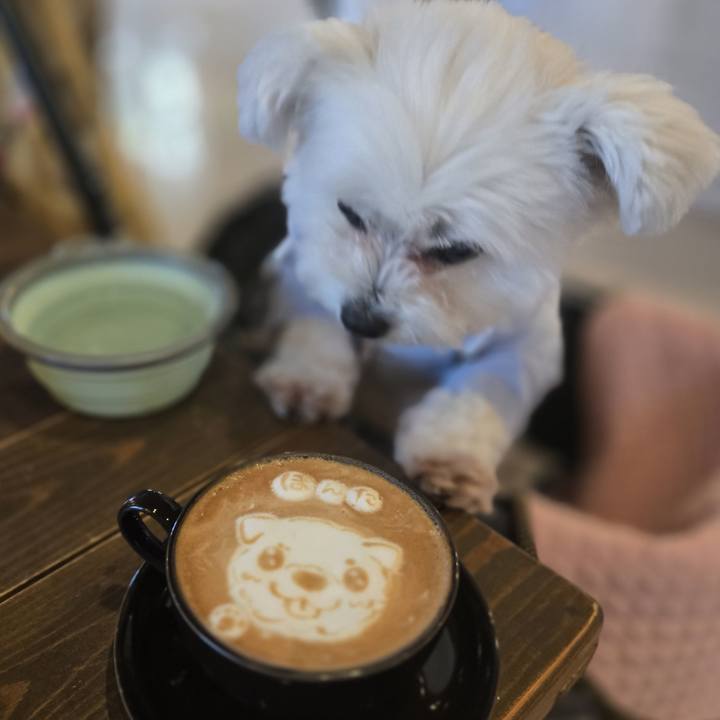 6399a760 a181 48c0 9d3a f0409b426c35 1772371877194