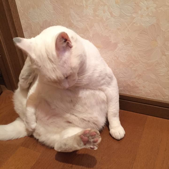 6399d47b 6c19 455b 909c afeca35402a0 1543786220869