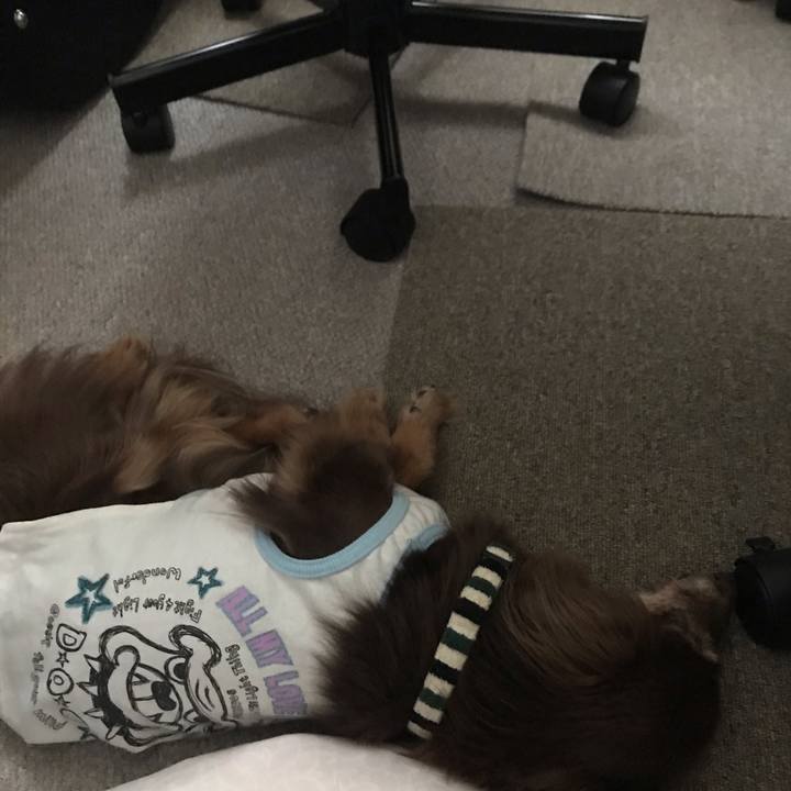 6399ef7d d298 4ab1 ae6b a3165df9d516 1591600642511