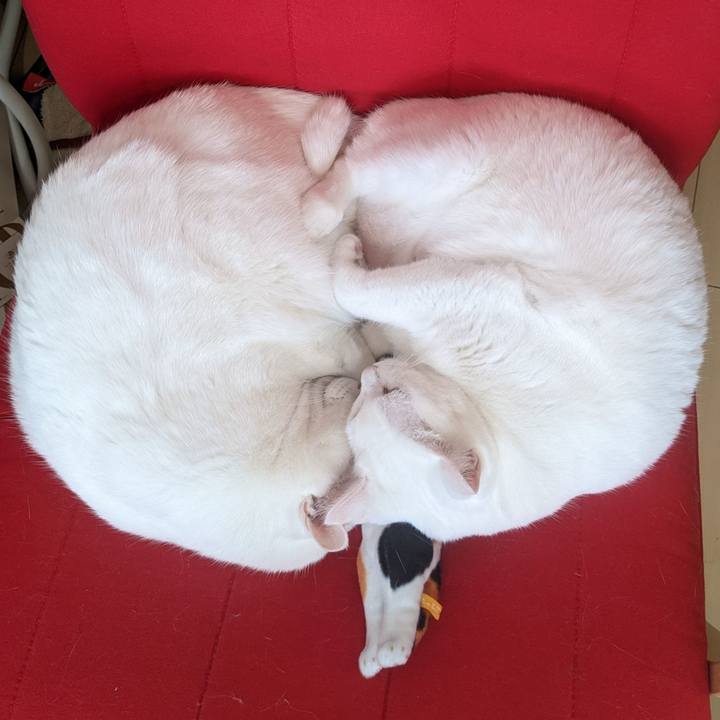 639a2732 cbc1 43bd b583 8351c166ecf9 1669773706841