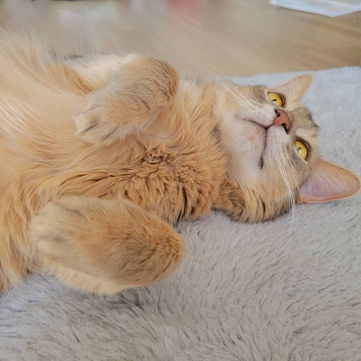 639a52e6 7718 4fd4 9a27 78ae223fa3ee 1678509789803