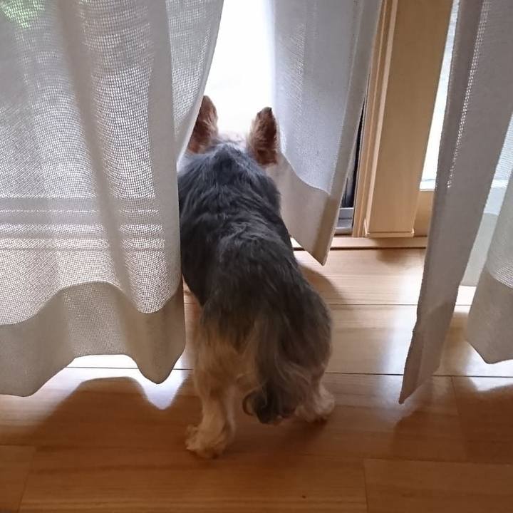 639a55fd 0b13 471a 8dde c85c7eba12ab 1535846535546