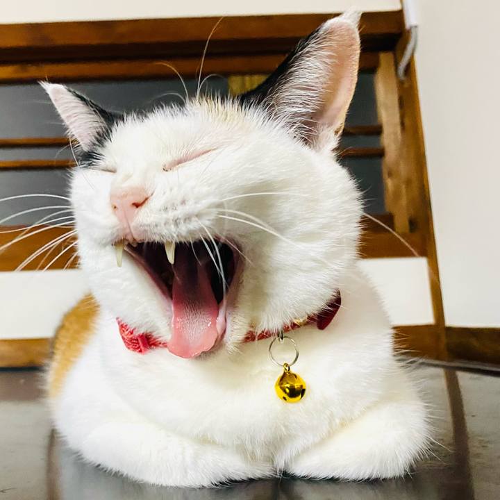 639a5c4b e452 4e16 bb62 355da763bebe 1759842814325