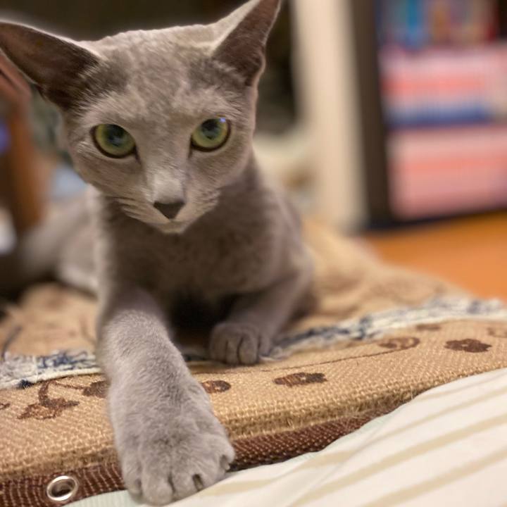 639a954c 6f77 483b bf56 8ab677cc8b60 1657753315032