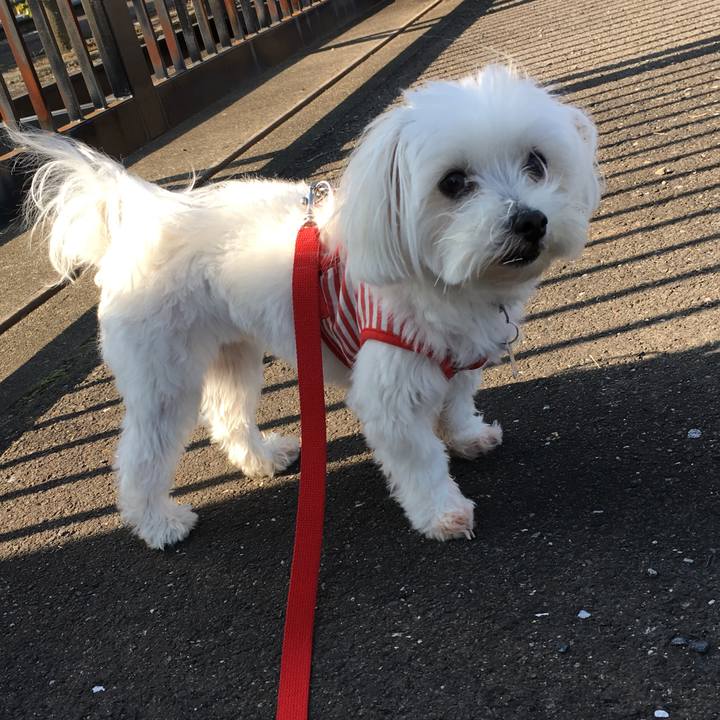 639aae47 7319 4282 9e1e c5ed5ab172c7 1541641611379