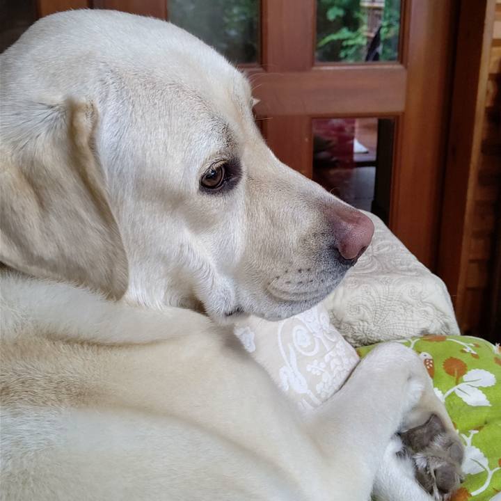 639ab90b 8912 4b8f bc1b a81b8843cff9 1592013823903