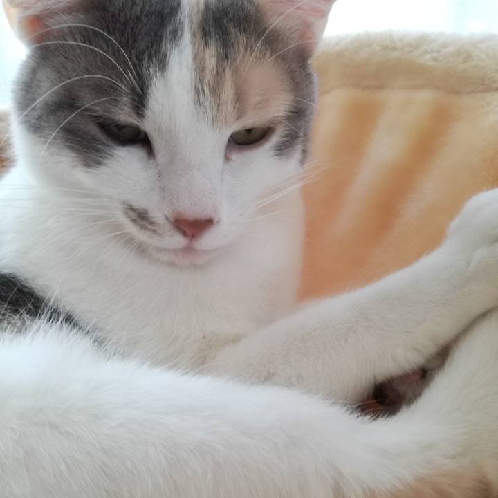 639af1cc 989d 446e 9aee bd00c0fdffff 1521944762510