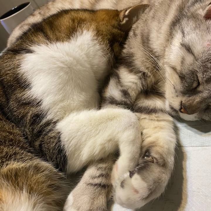 639af5f8 0c51 45fe 8581 433f07370d50 1618915904430