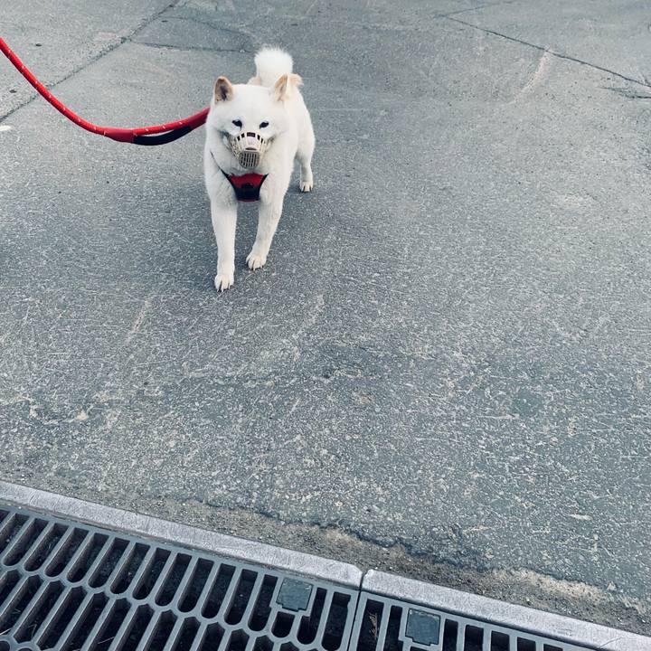 639b0289 bb5b 4452 b162 0465f6be861e 1679524468698