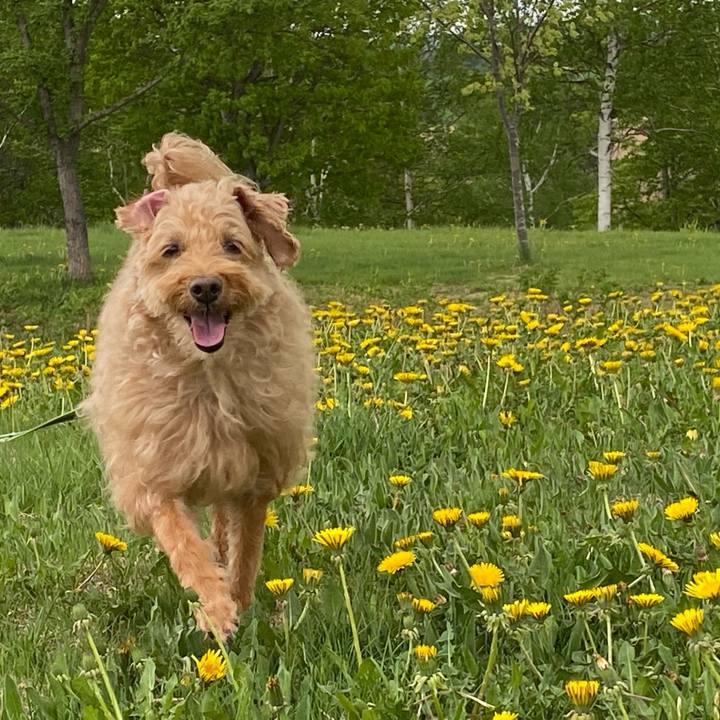 639b0856 2171 44c1 a49b d18d9704255f 1653905751575