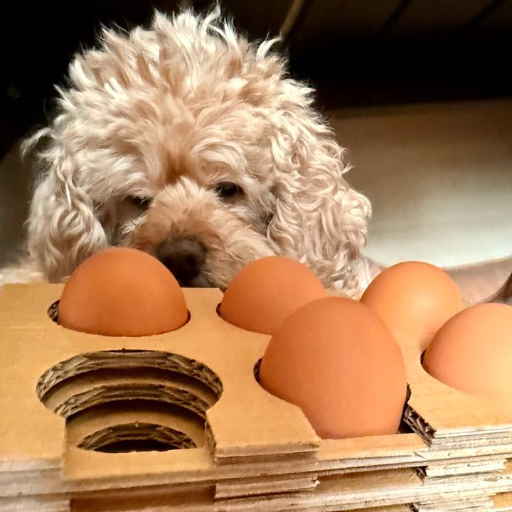 639b2bd8 40e2 40f4 aa95 d9dbe596f7da 1772167205353