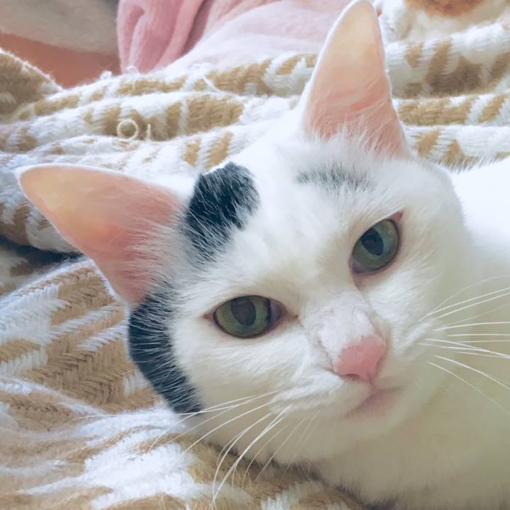 639b4a29 45d7 46c5 a3f5 542a5cfcca1b 1568604324038