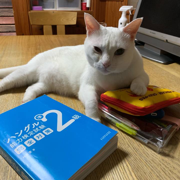 639ba3ff 8617 493c a9ec 1c456b78b233 1633783813256