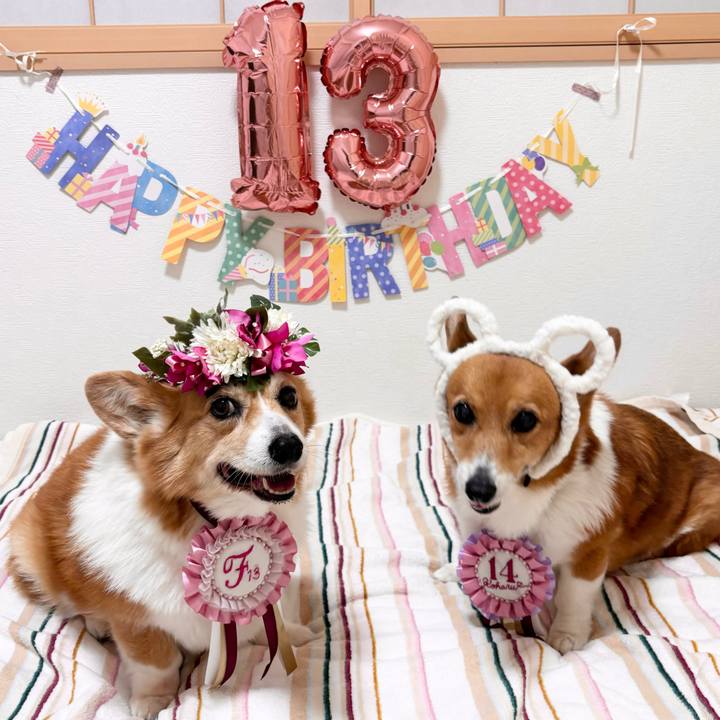 639ba4b5 a561 470d bf78 8359b803e4c0 1747568254411