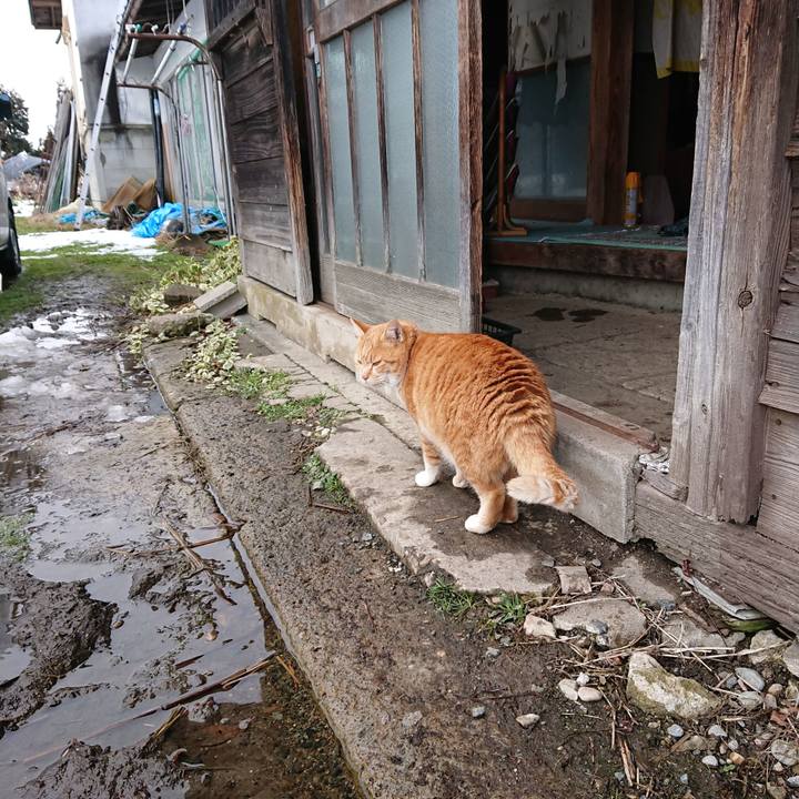 639ba6ef e12e 4a25 9d0f f906f707226a 1578109446515