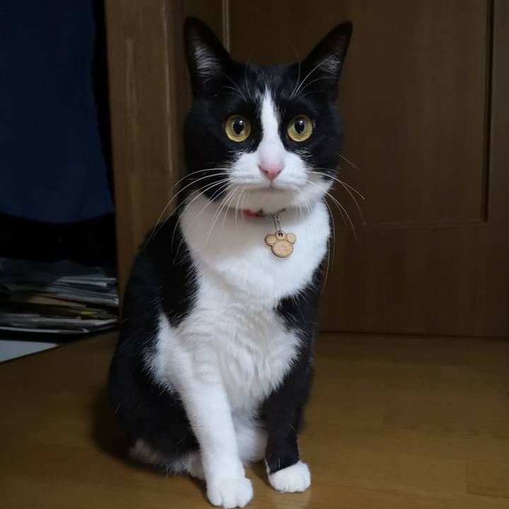 639bba1e 56a8 4831 b122 86324618bd4b 1579762886020