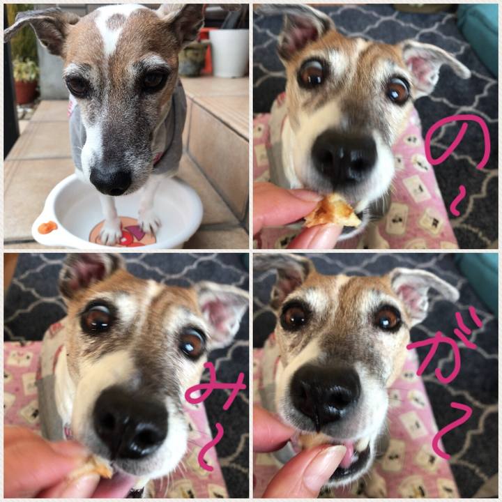 639bbc8d 887c 412e 9f65 6424ffe5c994 1519783277159