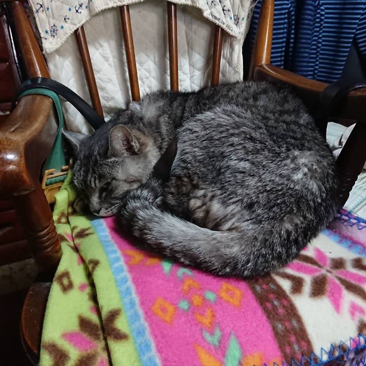 639c2491 63dd 4fb5 b71c 7aeb4791a62a 1578783572077