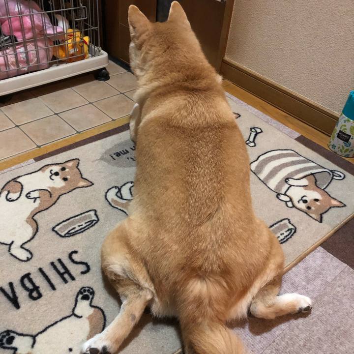 639c2908 74c9 46eb 9fc8 4de9a61b32bd 1579523404940