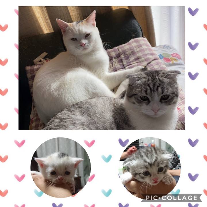 639c315e 56c3 4836 8858 2c2e3455cea6 1609073322360