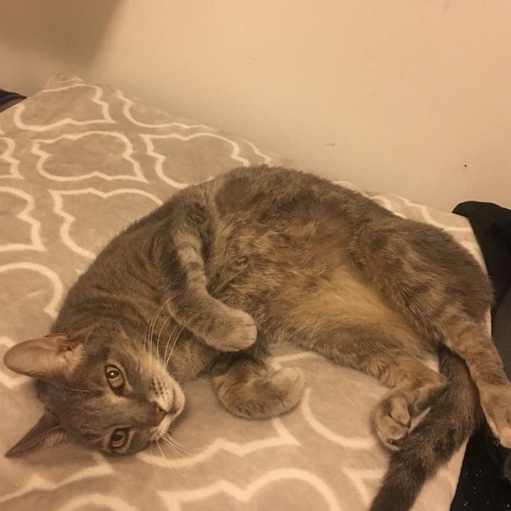 639c498a b1f3 4f98 a58e aca02546599e 1550561114313