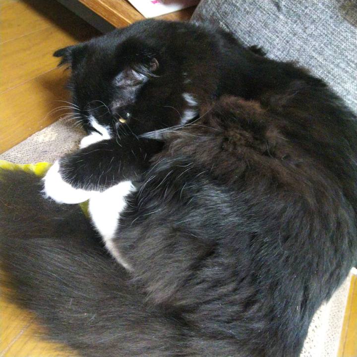 639c920a 692e 4ec1 93ce 8f0d0c5f7a8e 1649594116095