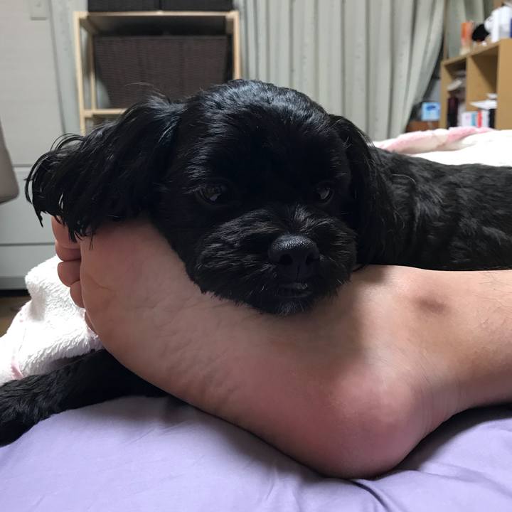 639cf070 4bb0 46f3 be16 04ef2ca11370 1537021822853