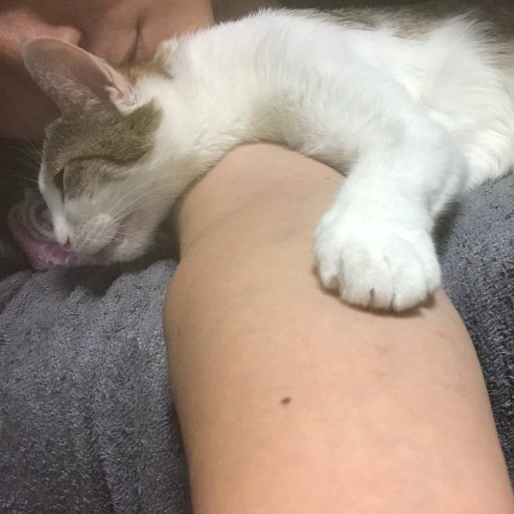 639d1fc8 b371 4a7d 9091 545fc739d581 1644967782957