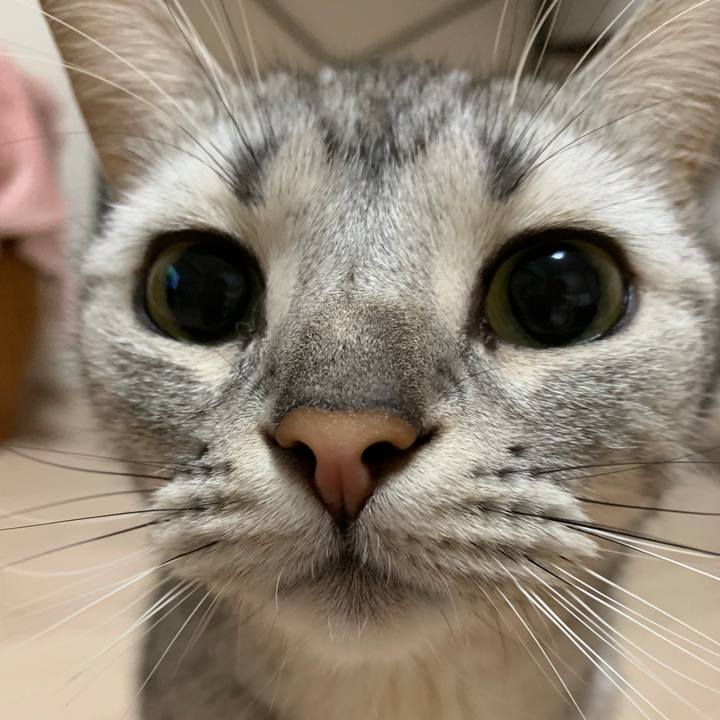 639d39b2 9172 4ac5 994f 48b81a234711 1560470610715