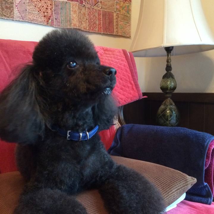 639d5ec3 c89f 4b6b 8b73 5c6f91d1982a 1707710028236