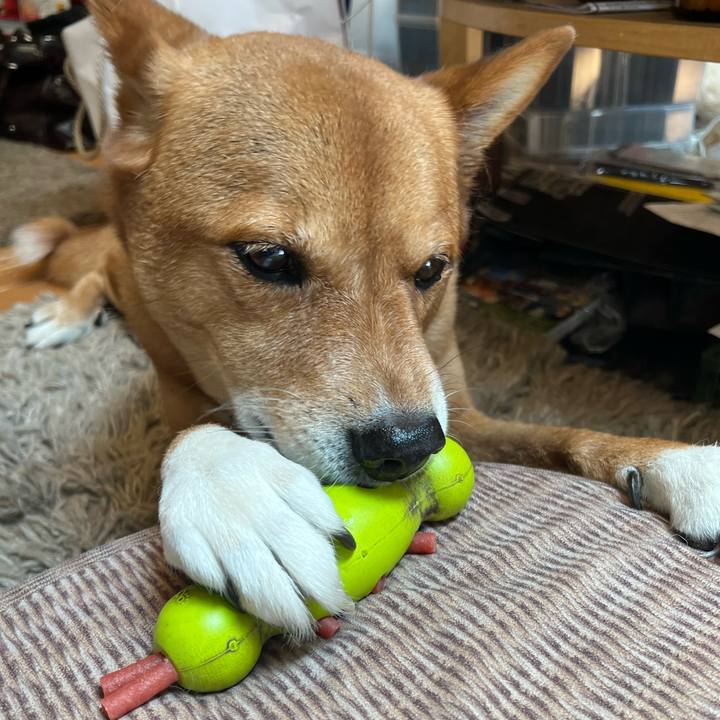 639d6e17 f367 4f6e 94da 396d0724fd4d 1702520734384