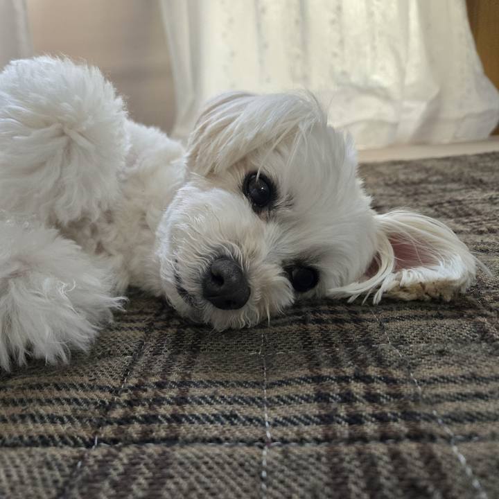 639d7ca5 6316 41e8 89f5 f3502fc0dca4 1777096319009