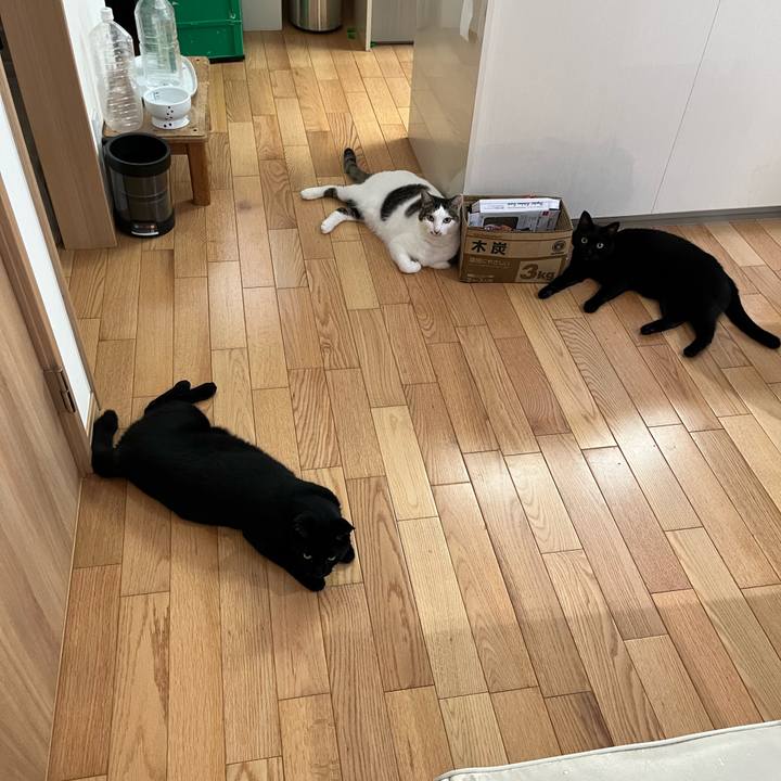 639d7e2d 0246 4fa4 8943 5a560bbde4f4 1721362044385