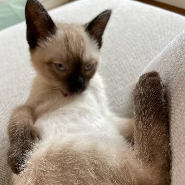 639d7f7f 4564 4d77 b574 78104df5ebc4 1689674654395