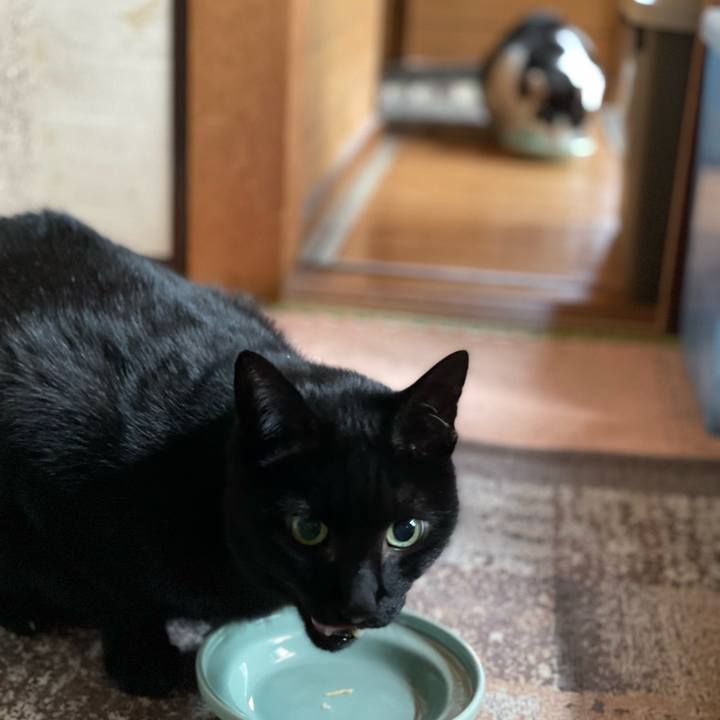 639d94e7 15ff 4c8b a933 ff41bca78fb8 1640225199620