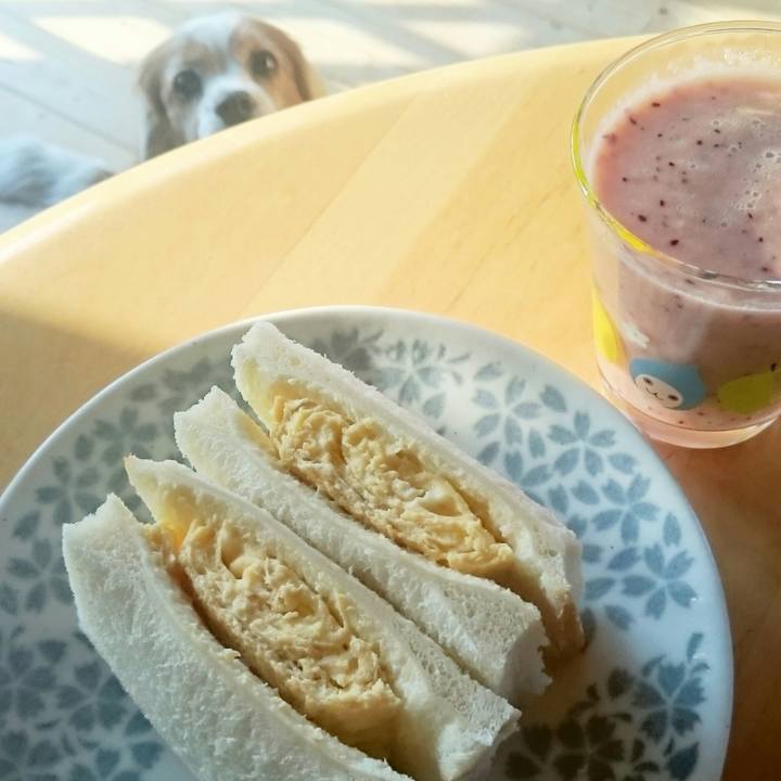 639df365 a0db 4d00 9b75 a61db5dfe2a5 1524261580224