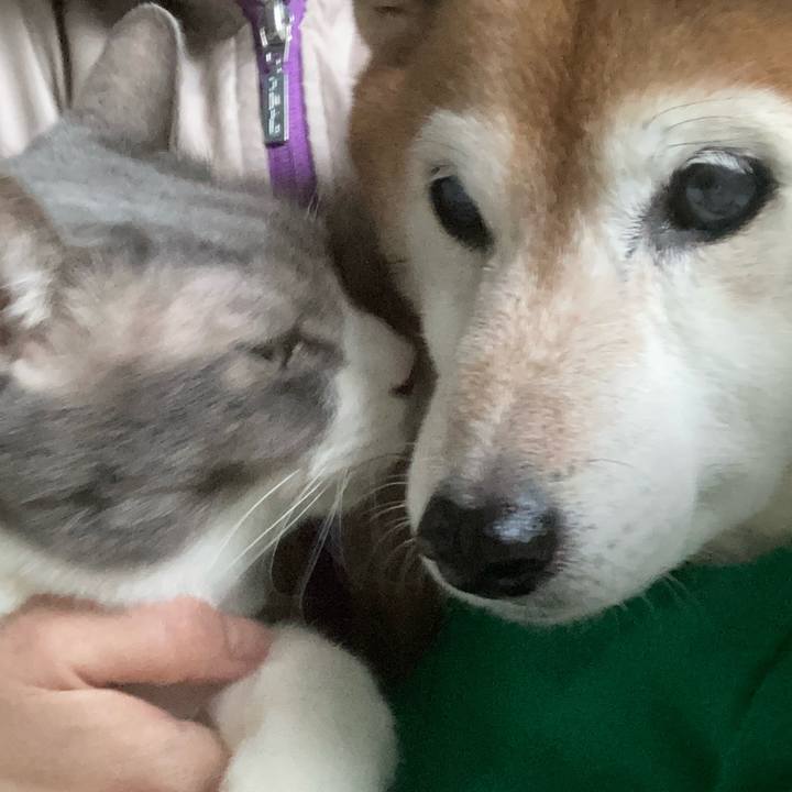 639e27d3 aae6 4584 bcf3 2b42ae01628c 1735816019892