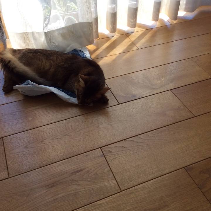 639e8e64 cca6 4870 a47b ce556ae5cf43 1564980561733