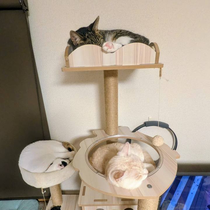 639e91fe c80f 4a7e 9312 5a5bdf6545fc 1754228246688