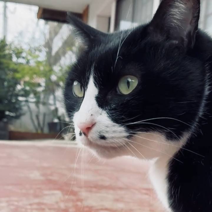 639ec60a ee7f 4bec a319 5ede9906984b 1773494918237