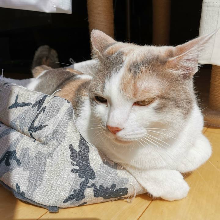 639ecb0c f59f 4896 b783 55a73b7eba11 1649489435959