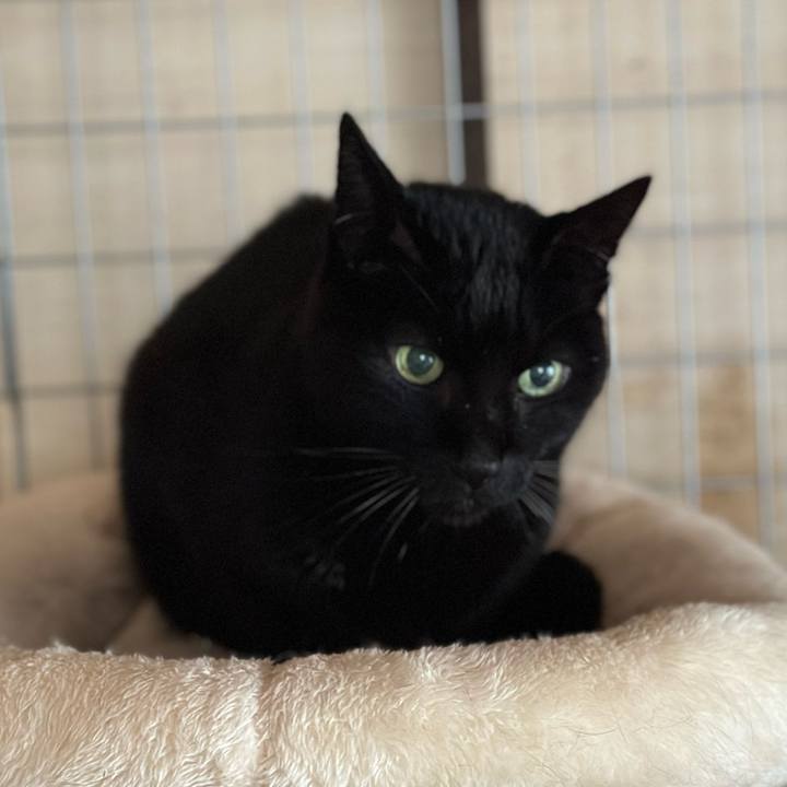 639edc85 21fc 4eb1 b517 150b38203deb 1705889673596